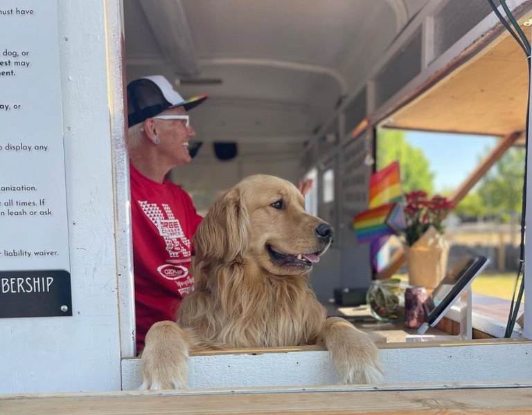 golden retriever looks out the window of a beer cart at doghouse brewyard