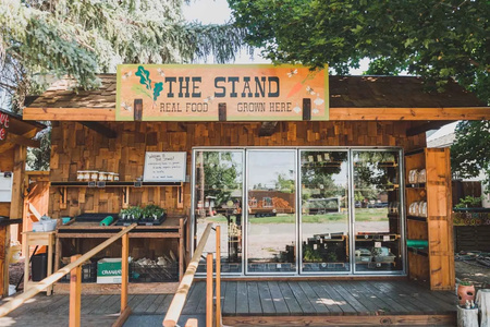The Stand At Mahonia Gardens